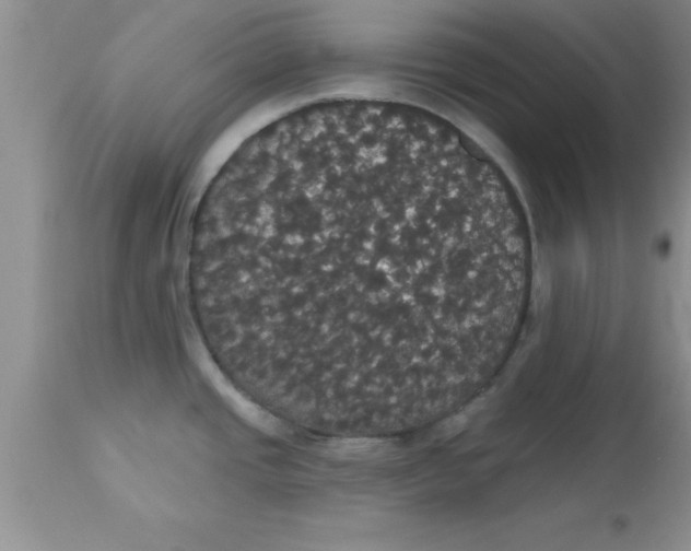 X0000113061437200909181949
