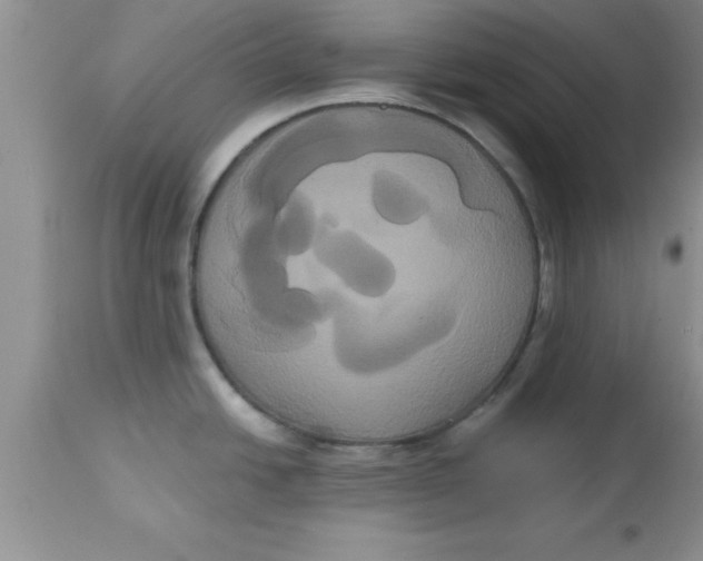 X0000113061438200909181949