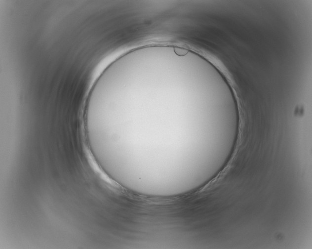 X0000113061440200909181950