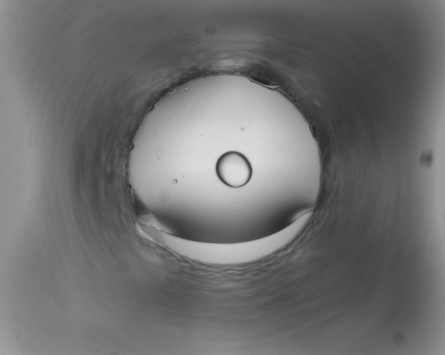 X0000113061441200909181949