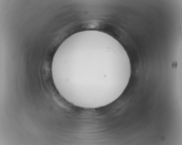 X0000113061442200909181949