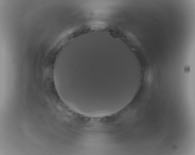 X0000113061445200909181949