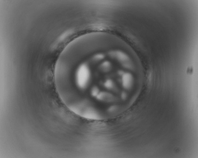 X0000113061446200909181949