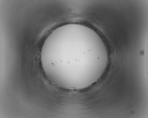 X0000113061447200909181949