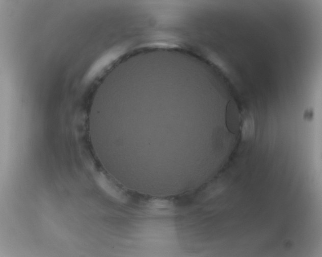 X0000113061448200909181949