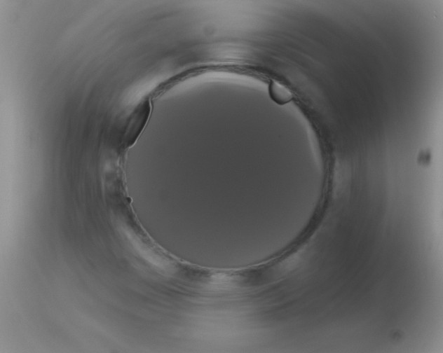 X0000113061449200909181949