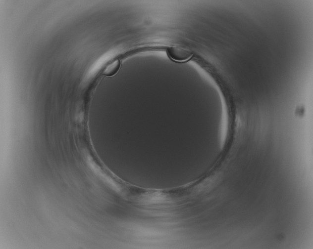 X0000113061450200909181949