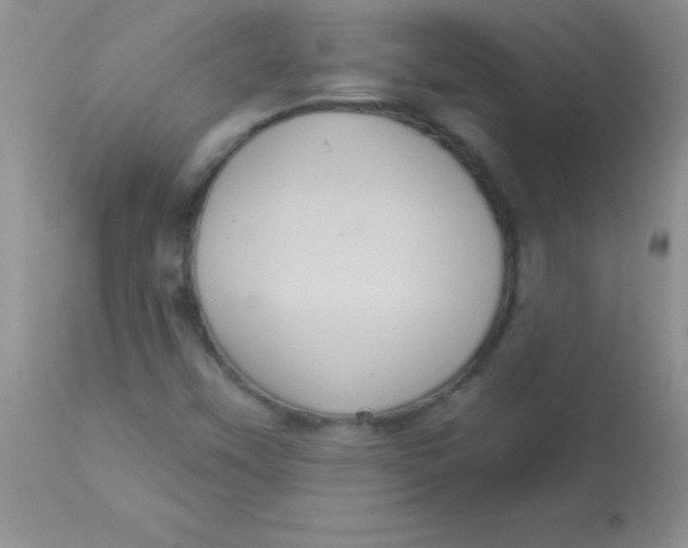 X0000113061451200909181949