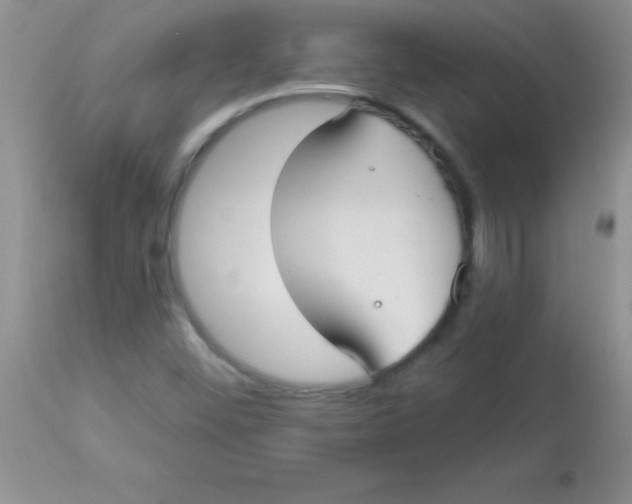 X0000113061452200909181949