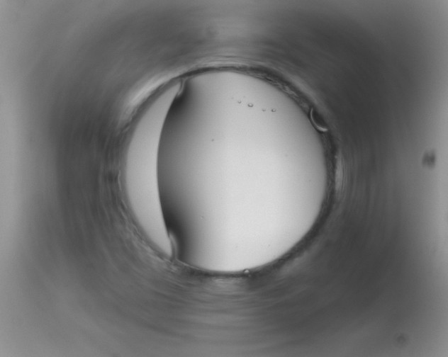X0000113061453200909181949