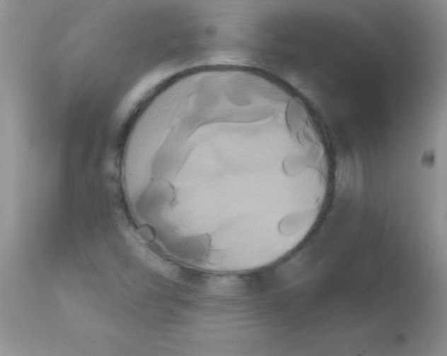 X0000113061454200909181949