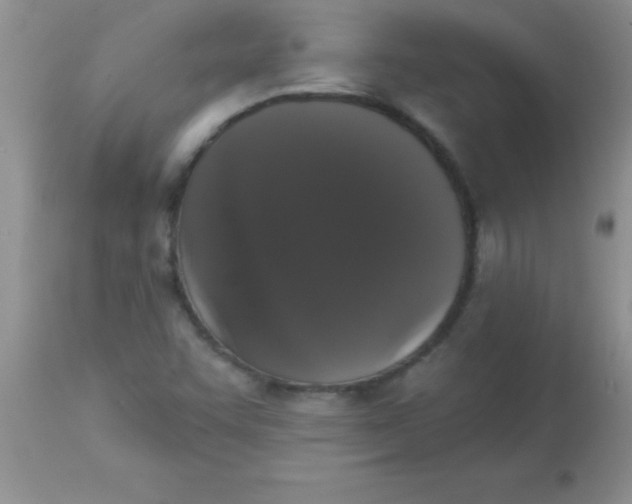 X0000113061455200909181949