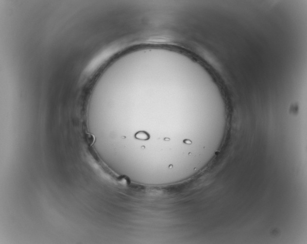 X0000113061456200909181948