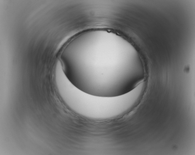 X0000113061457200909181948