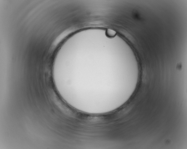 X0000113061458200909181948