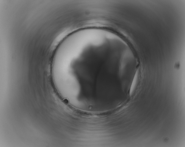 X0000113061459200909181948