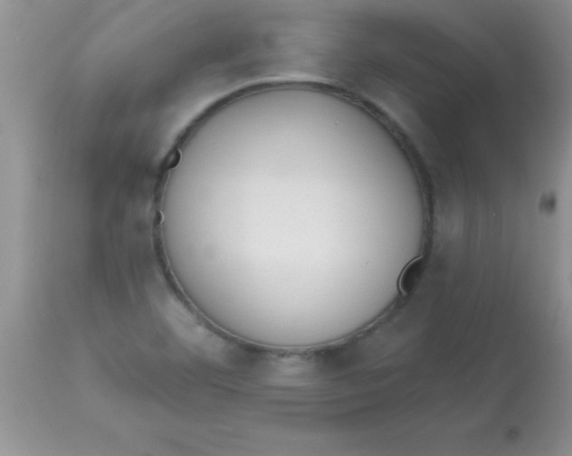 X0000113061460200909181948