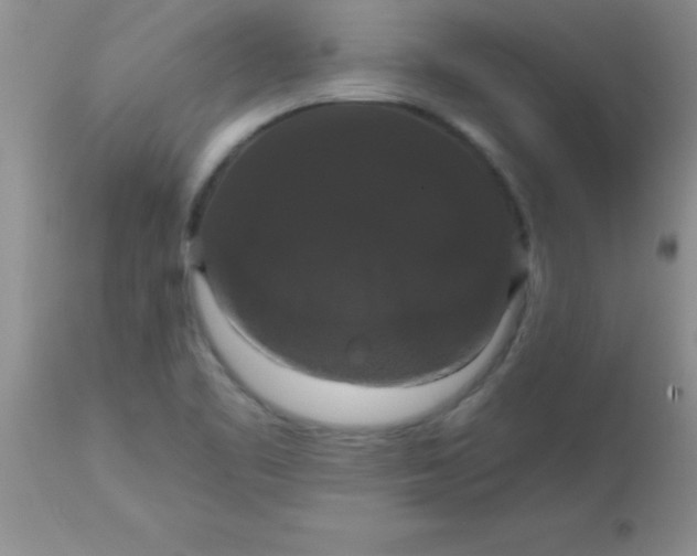 X0000113061461200909181948
