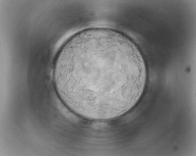 X0000113061462200909181948