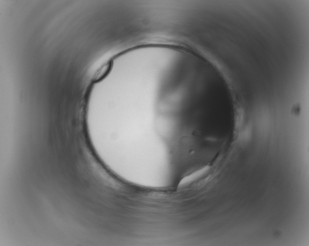X0000113061463200909181948