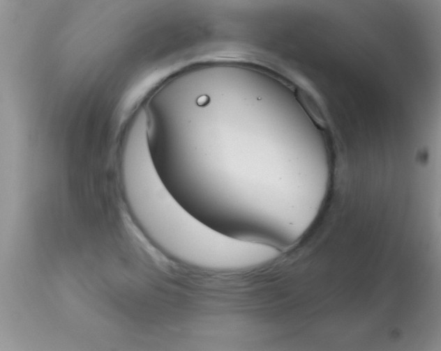 X0000113061464200909181948