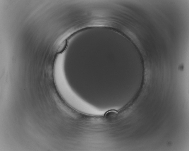 X0000113061465200909181948