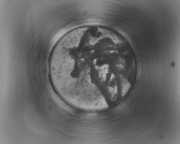 X0000113061467200909181948
