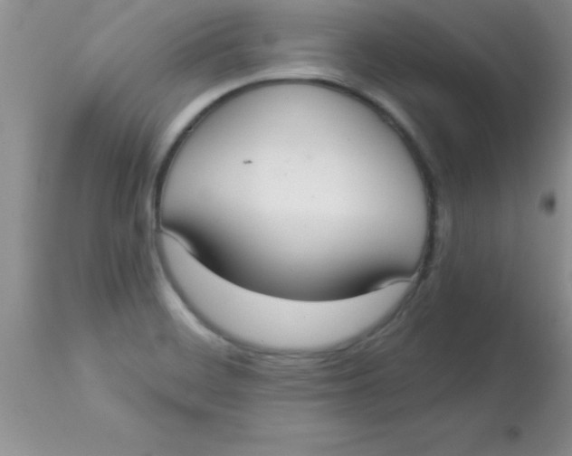 X0000113061468200909181948