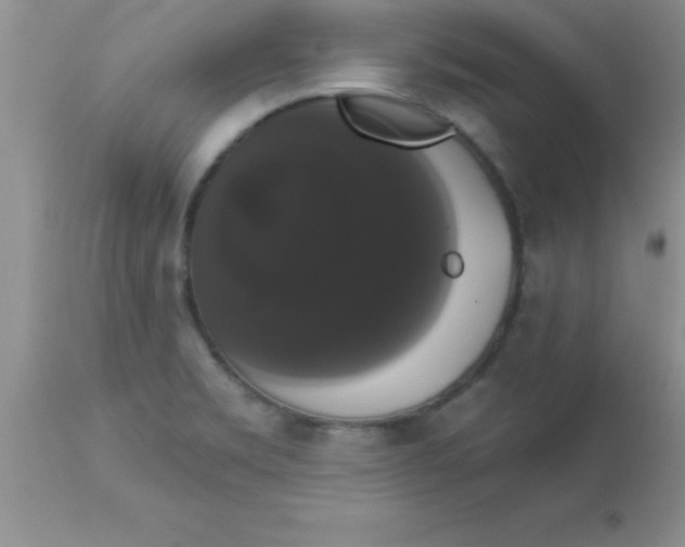 X0000113061469200909181948
