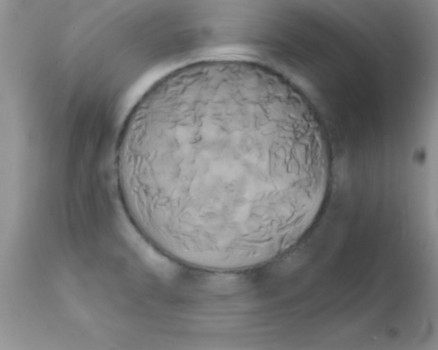 X0000113061470200909181948