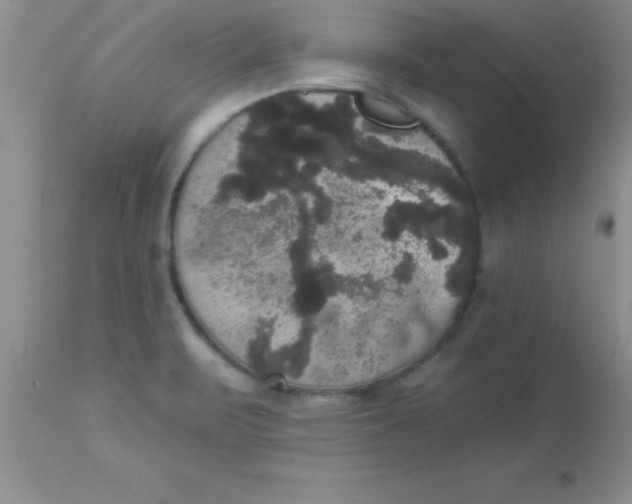 X0000113061471200909181948