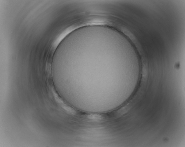 X0000113061473200909181948
