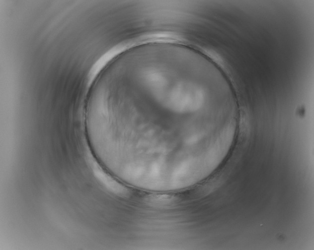 X0000113061474200909181948