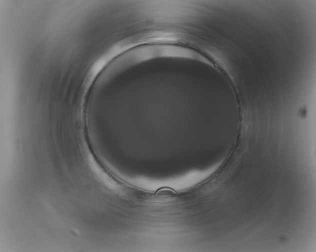 X0000113061475200909181948