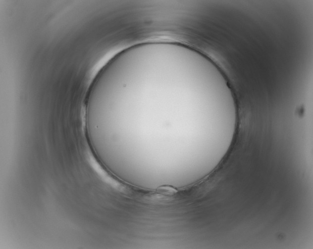 X0000113061476200909181948