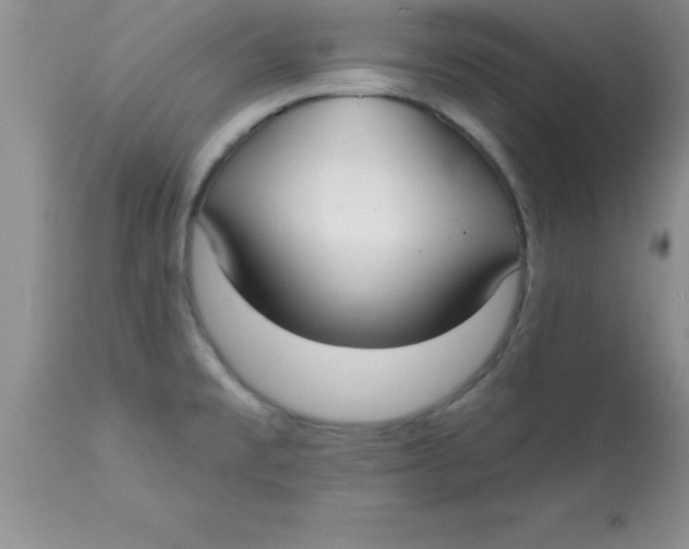 X0000113061477200909181948