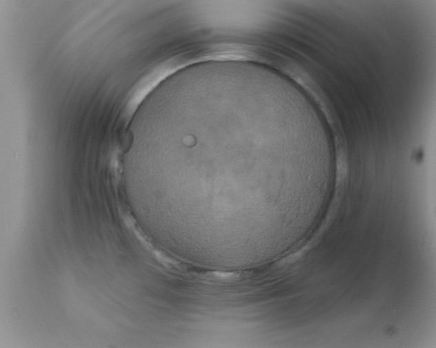 X0000113061481200909181948