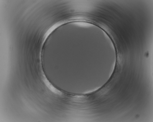 X0000113061482200909181948