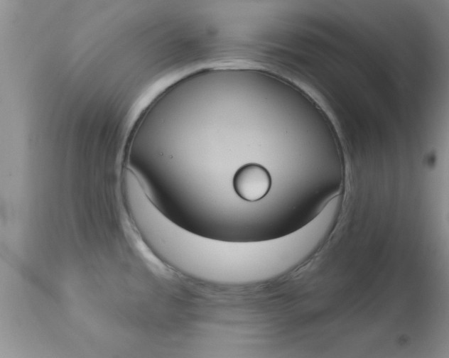 X0000113061485200909181948