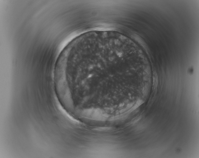X0000113061487200909181948