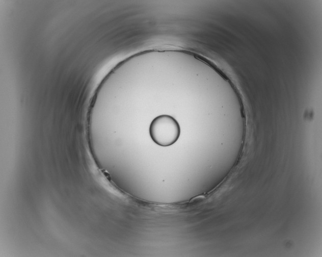 X0000113061488200909181948
