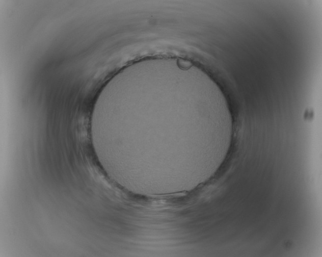 X0000113061490200909181947