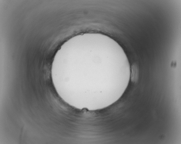 X0000113061491200909181947