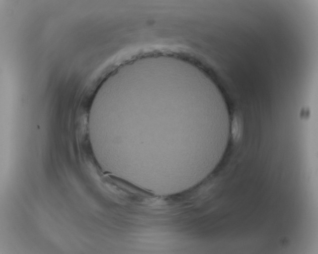 X0000113061492200909181947