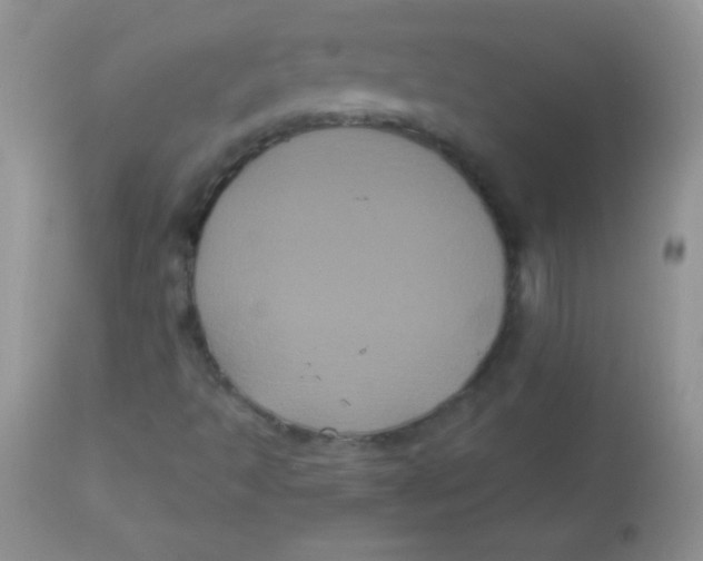 X0000113061493200909181947