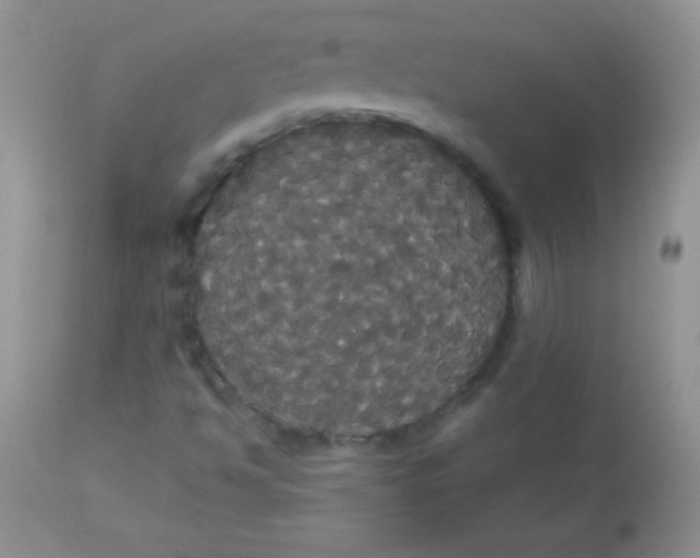 X0000113061494200909181947