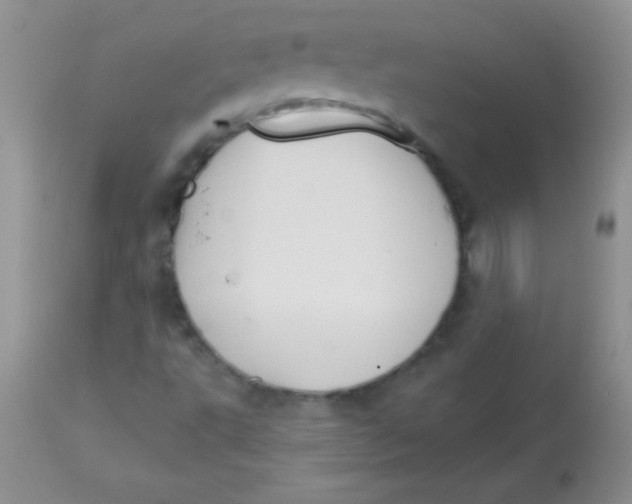 X0000113061495200909181947