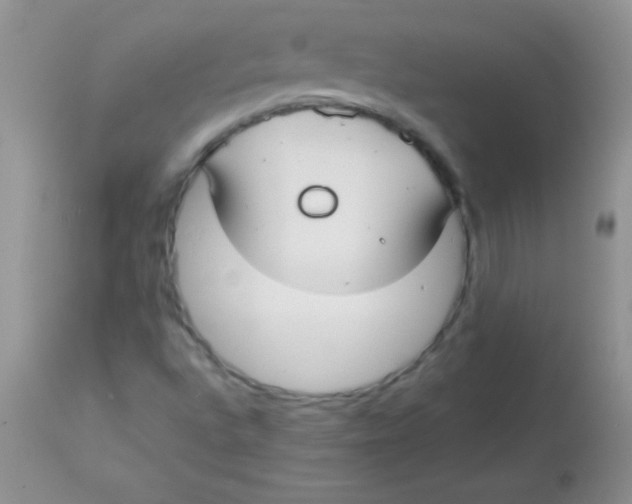 X0000113061496200909181947