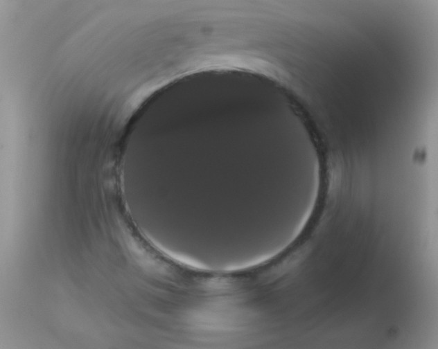 X0000113061497200909181947