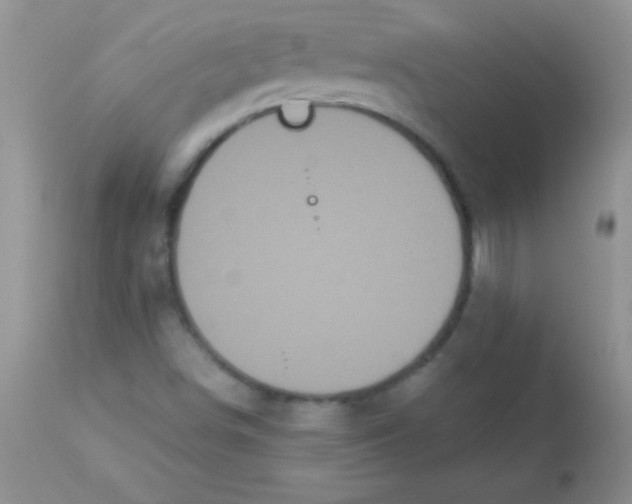 X0000113061498200909181947